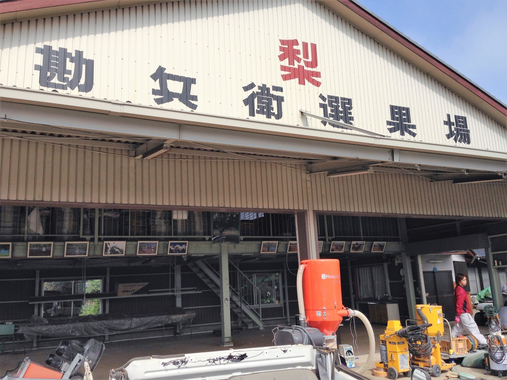 千葉県市川市の勘兵衛園（果樹園）｜選果場の塗床工事（ケミクリートＥＰクリア）：防塵