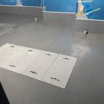 東京都町田市のラーメン店厨房にて、タフクリートMH工法で仕上げた完工後の床。水溜まりのないフラットで清潔な仕上がり。