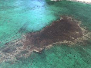 床の油浸透